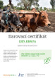 Náhled elektronického certifikátu