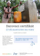 Náhled elektronického certifikátu
