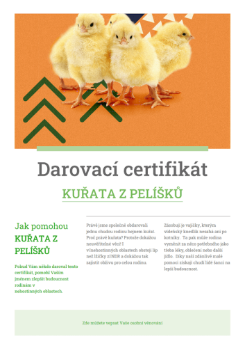 Náhled elektronického certifikátu