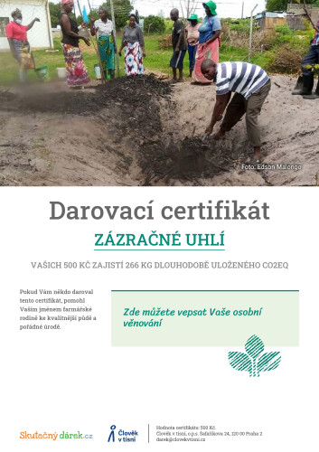 Náhled elektronického certifikátu