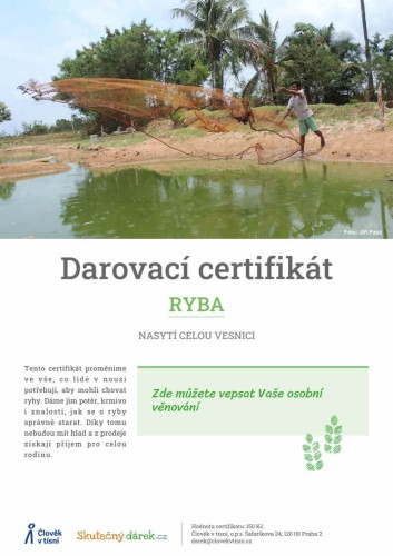 Náhled elektronického certifikátu