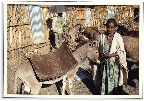 Jak Váš dárek pomohl v roce 2016 Etiopie | Skutečný dárek
