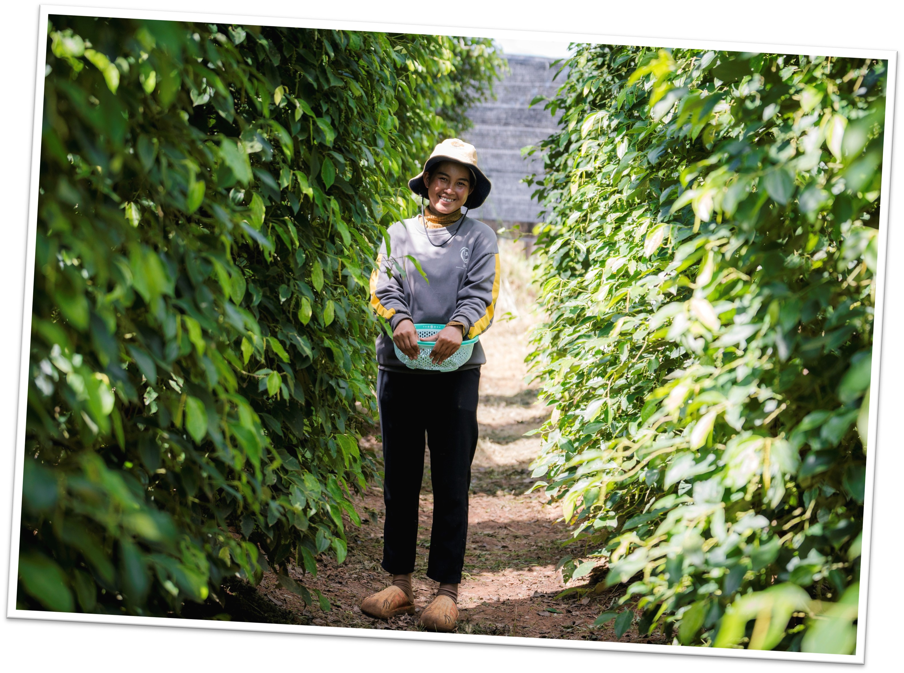 Jak Váš dárek pomohl v roce 2025 Kambodža | Skutečný dárek