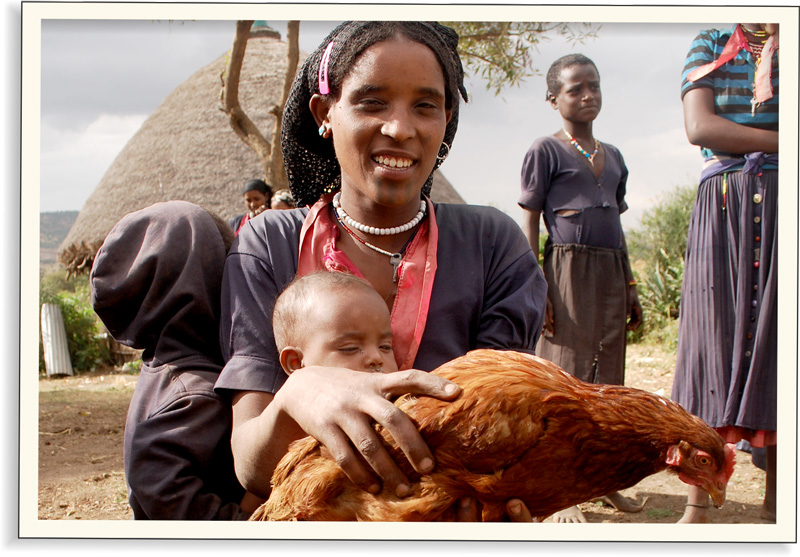 Jak se v Etiopii daří darovaným kuřatům | Skutečný dárek