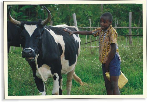 Jeden hektar půdy pro sirotky v Kongu | Skutečný dárek