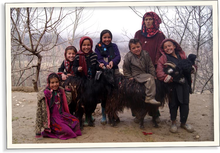 Rok po distribuci – „Tyhle kozy jsou můj splněný sen“ | Skutečný dárek
