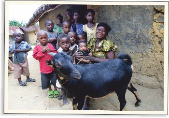 Kozy přinesly radost do Konga | Skutečný dárek