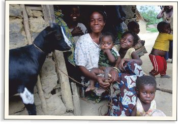 Kozy přinesly radost do Konga | Skutečný dárek