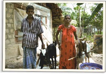 Darované kozy představují naději pro starý pár | Skutečný dárek