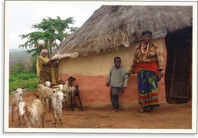 Paní Dadhi přinesly darované kozy klidný spánek | Skutečný dárek