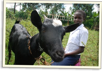 Díky zvířatům z Čech máme mléko a chodíme do školy | Skutečný dárek