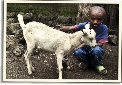 Jak Váš dárek pomohl v roce 2011 Kongo | Skutečný dárek