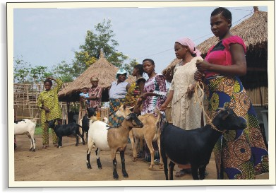 Člověk v tísni v Kongu 2011 | Skutečný dárek
