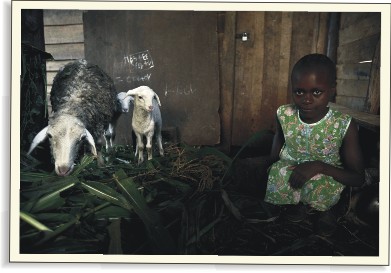 Člověk v tísni v Kongu 2011 | Skutečný dárek