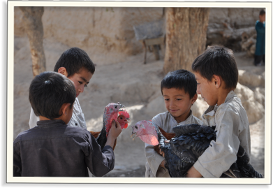 Člověk v tísni v Afganistánu 2013 | Skutečný dárek