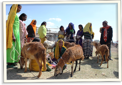 Člověk v tísni v Etiopii 2014 | Skutečný dárek