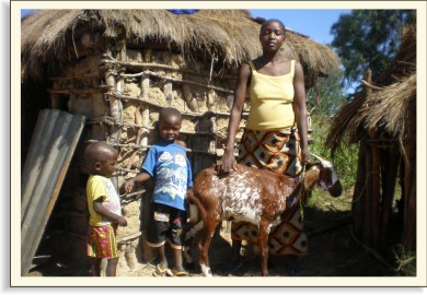 Jak Váš dárek pomohl v roce 2010 Angola | Skutečný dárek
